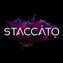 Staccato AI Music Creator AI with WIO AI